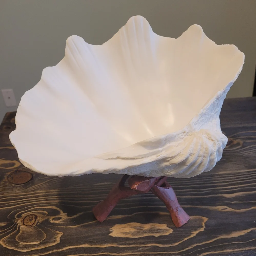 Shell decor - Picture 4 of 4